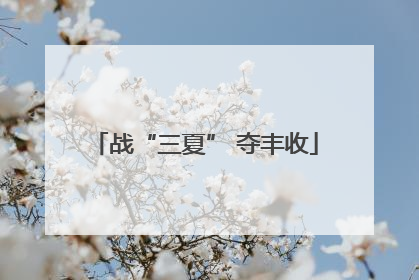 战“三夏” 夺丰收