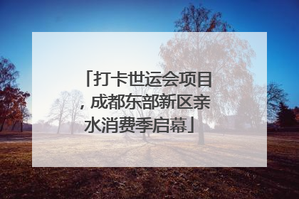 打卡世运会项目，成都东部新区亲水消费季启幕