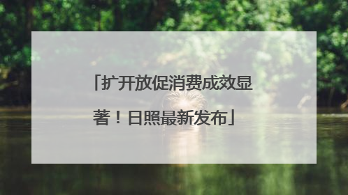 扩开放促消费成效显著！日照最新发布