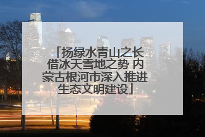 扬绿水青山之长 借冰天雪地之势 内蒙古根河市深入推进生态文明建设