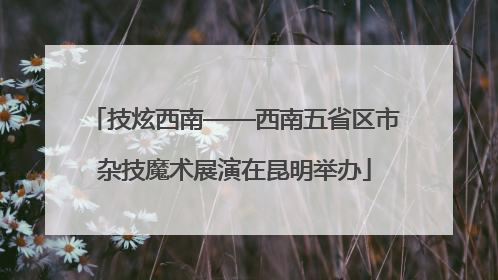 技炫西南——西南五省区市杂技魔术展演在昆明举办