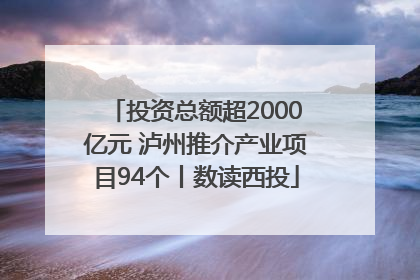 投资总额超2000亿元 泸州推介产业项目94个丨数读西投