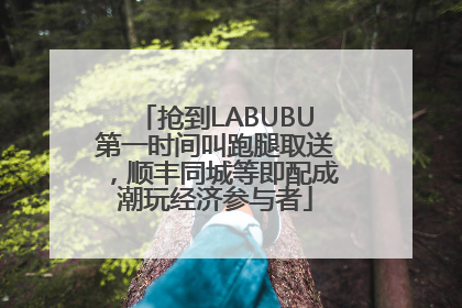 抢到LABUBU第一时间叫跑腿取送，顺丰同城等即配成潮玩经济参与者