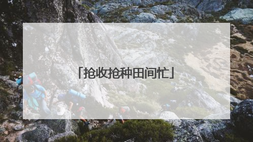 抢收抢种田间忙