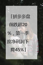 拼多多盘前跌超20%，第一季度净利润下降45%
