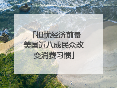 担忧经济前景 美国近八成民众改变消费习惯