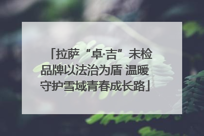 拉萨“卓·吉”未检品牌以法治为盾 温暖守护雪域青春成长路