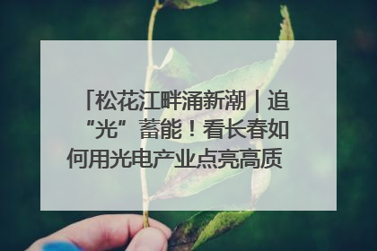 松花江畔涌新潮｜追“光”蓄能！看长春如何用光电产业点亮高质量发展新赛道