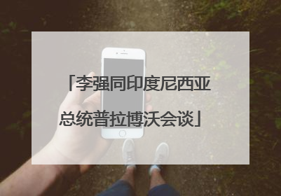 李强同印度尼西亚总统普拉博沃会谈