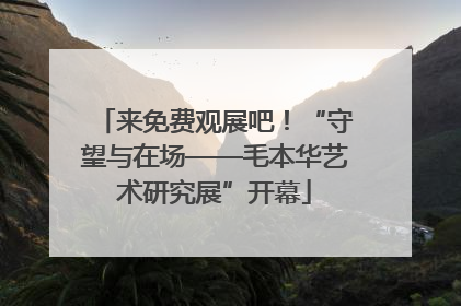 来免费观展吧！“守望与在场——毛本华艺术研究展”开幕