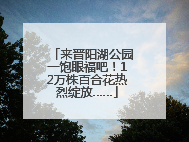 来晋阳湖公园一饱眼福吧！12万株百合花热烈绽放……