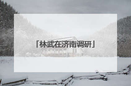 林武在济南调研