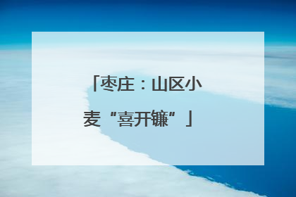 枣庄：山区小麦“喜开镰”
