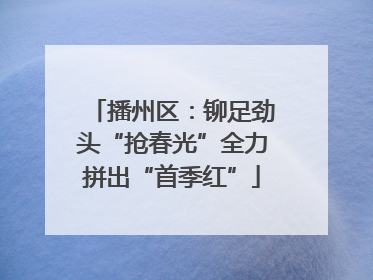 播州区：铆足劲头“抢春光”全力拼出“首季红”