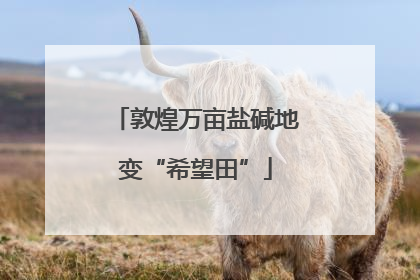 敦煌万亩盐碱地变“希望田”