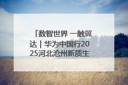 数智世界 一触冀达｜华为中国行2025河北沧州新质生产力峰会成功举办