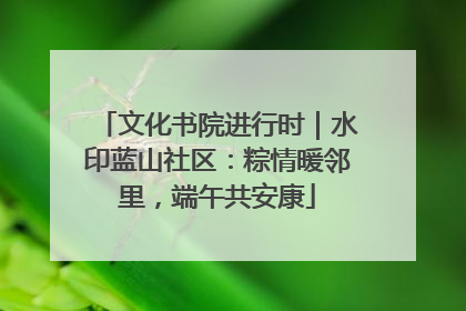 文化书院进行时｜水印蓝山社区：粽情暖邻里，端午共安康