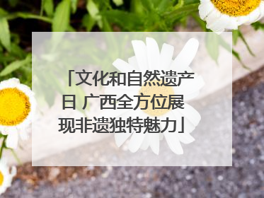 文化和自然遗产日 广西全方位展现非遗独特魅力