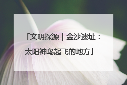 文明探源｜金沙遗址：太阳神鸟起飞的地方