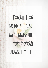 新知｜新物种！“天宫”里惊现“太空六边形战士”