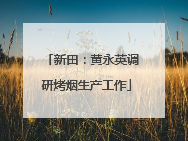 新田：黄永英调研烤烟生产工作