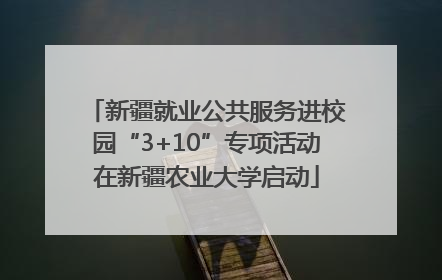 新疆就业公共服务进校园“3+10”专项活动在新疆农业大学启动