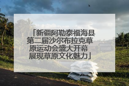新疆阿勒泰福海县第二届沙尔布拉克草原运动会盛大开幕 展现草原文化魅力