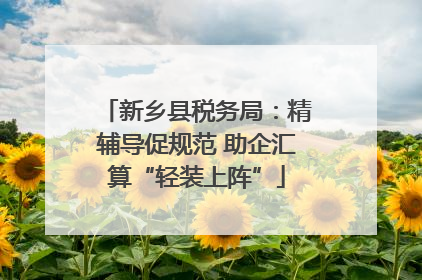 新乡县税务局：精辅导促规范 助企汇算“轻装上阵”