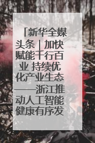新华全媒头条｜加快赋能千行百业 持续优化产业生态——浙江推动人工智能健康有序发展观察