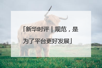 新华时评｜规范，是为了平台更好发展