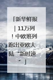 新华鲜报｜11万列！中欧班列跑出亚欧大陆“新时速”