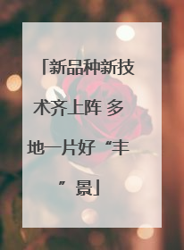 新品种新技术齐上阵 多地一片好“丰”景