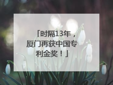 时隔13年，厦门再获中国专利金奖！