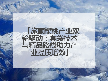 旅顺樱桃产业双轮驱动：套袋技术与精品路线助力产业提质增效