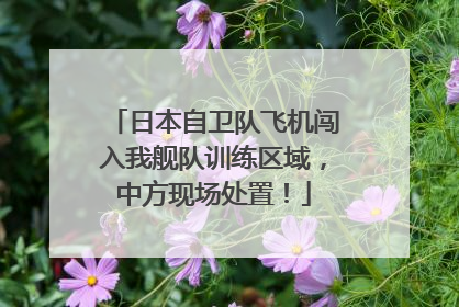 日本自卫队飞机闯入我舰队训练区域，中方现场处置！