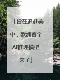 旨在追赶美中，欧洲首个AI推理模型来了