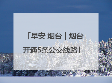早安 烟台｜烟台开通5条公交线路