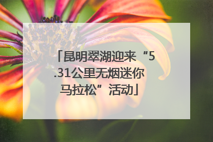 昆明翠湖迎来“5.31公里无烟迷你马拉松”活动