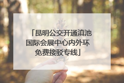 昆明公交开通滇池国际会展中心内外环免费接驳专线