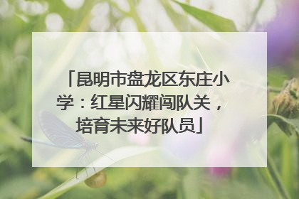 昆明市盘龙区东庄小学：红星闪耀闯队关，培育未来好队员