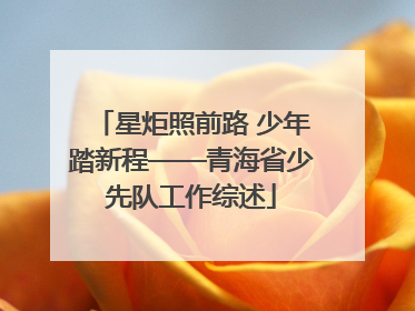 星炬照前路 少年踏新程——青海省少先队工作综述