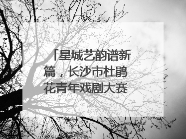 星城艺韵谱新篇，长沙市杜鹃花青年戏剧大赛竞演活动落幕