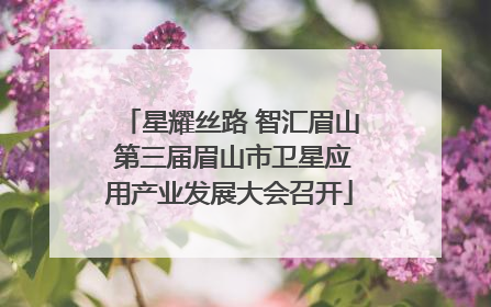星耀丝路 智汇眉山 第三届眉山市卫星应用产业发展大会召开