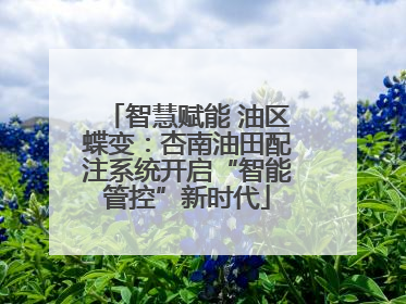 智慧赋能 油区蝶变：杏南油田配注系统开启“智能管控”新时代