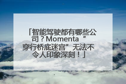 智能驾驶都有哪些公司？Momenta“穿行桥底迷宫”无法不令人印象深刻！