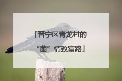 晋宁区青龙村的“菌”情致富路