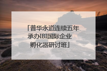 普华永道连续五年承办IBI国际企业孵化器研讨班