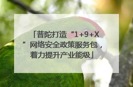 普陀打造“1+9+X”网络安全政策服务包，着力提升产业能级