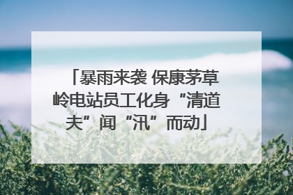 暴雨来袭 保康茅草岭电站员工化身“清道夫”闻“汛”而动