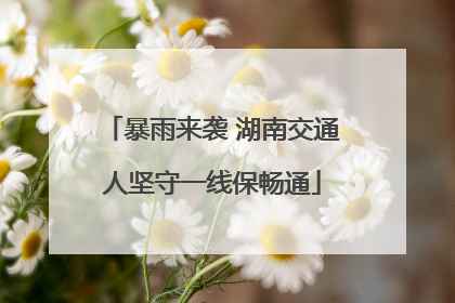 暴雨来袭 湖南交通人坚守一线保畅通